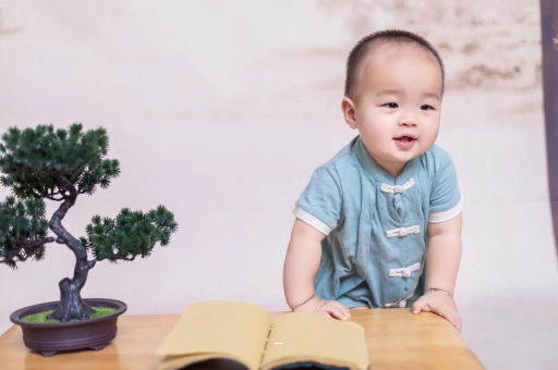 舞钢可爱的企鹅宝宝